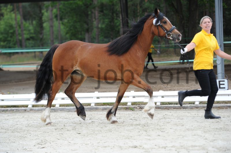 Preview HWS_6341.JPG